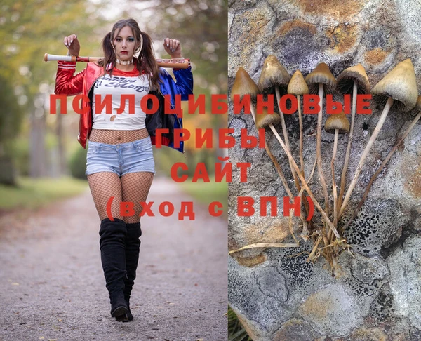 мяу мяу мука Бородино