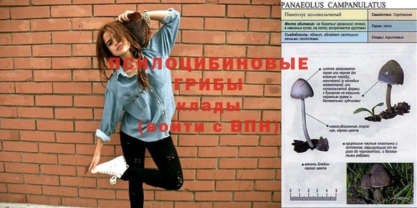 прущая мука Бронницы