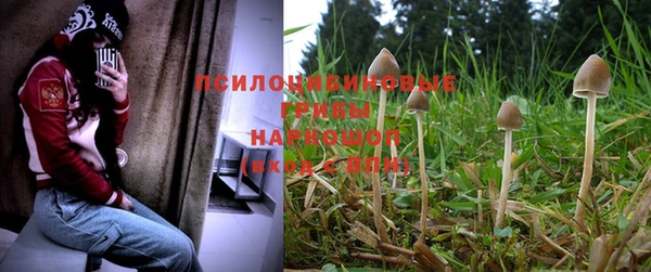 прущая мука Бронницы