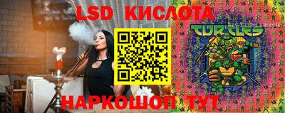 шишки Апшеронск