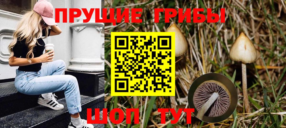 Галлюциногенные грибы MAGIC MUSHROOMS  Галлюциногенные грибы мухоморы  Выборг  Вход с VPN 