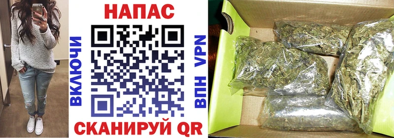МАРИХУАНА ГИДРОПОН  Выборг 